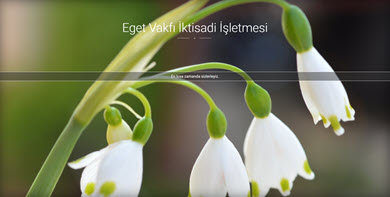 Eget Vakfı İktisadi İşletmesi
